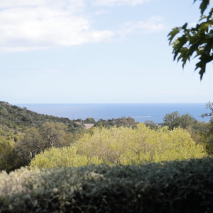 Location Villa Murticcio Corse du Sud Bonifacio